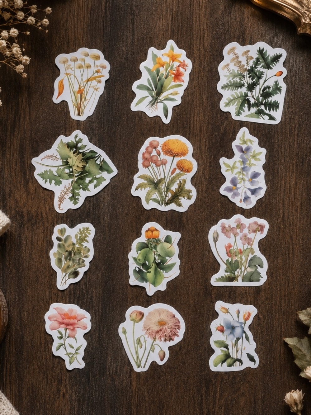 2 for $18 Vintage Wildflower Floral Botanical Sticker Pack New